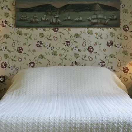 Chateau De La Ferriere Bed and Breakfast 3*