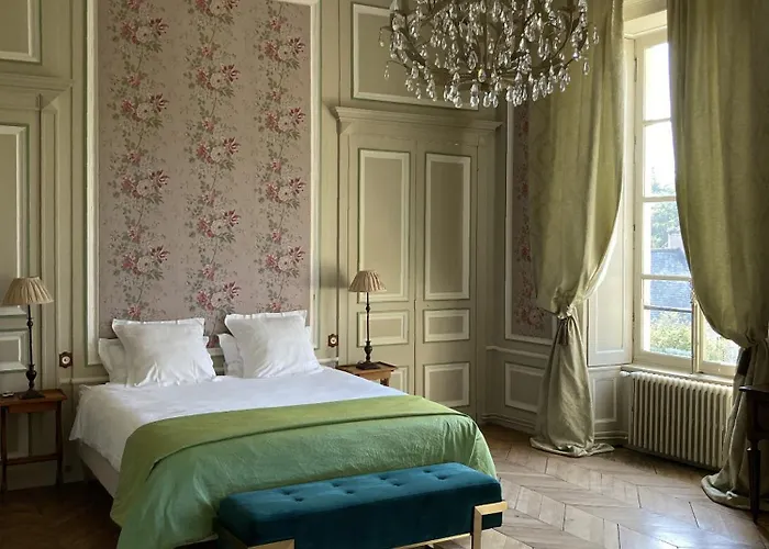 Chateau De La Ferriere Bed & Breakfast 3*